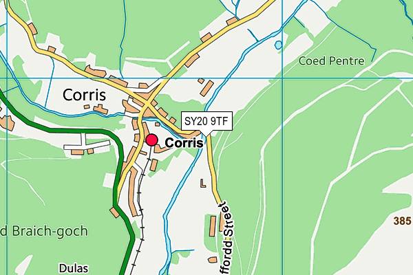 SY20 9TF map - OS VectorMap District (Ordnance Survey)