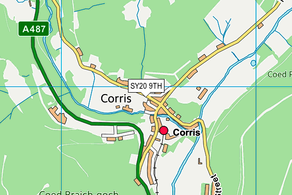 SY20 9TH map - OS VectorMap District (Ordnance Survey)