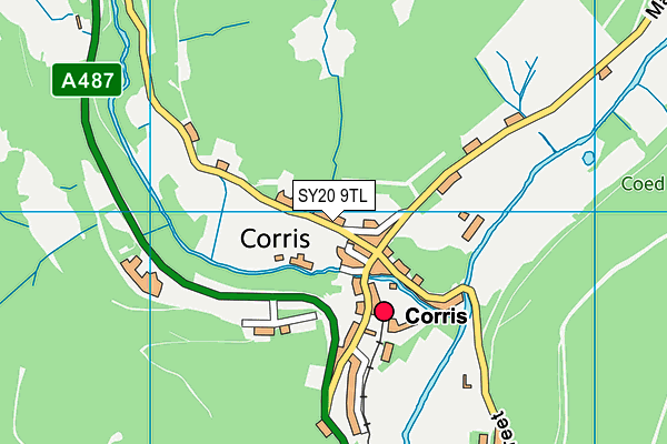 SY20 9TL map - OS VectorMap District (Ordnance Survey)