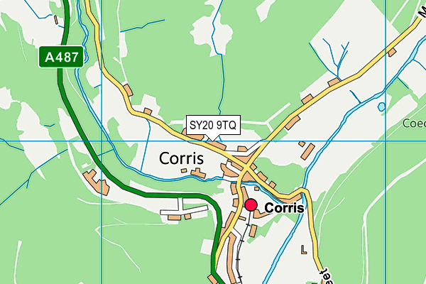 Ysgol Gynradd Dyffryn Dulas map (SY20 9TQ) - OS VectorMap District (Ordnance Survey)