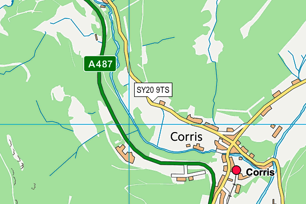 SY20 9TS map - OS VectorMap District (Ordnance Survey)