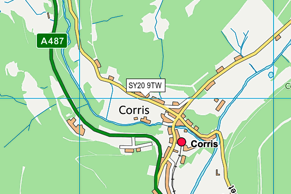 SY20 9TW map - OS VectorMap District (Ordnance Survey)