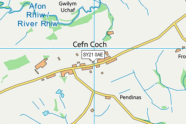 SY21 0AE map - OS VectorMap District (Ordnance Survey)