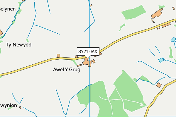 SY21 0AX map - OS VectorMap District (Ordnance Survey)