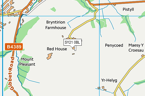 SY21 0BL map - OS VectorMap District (Ordnance Survey)