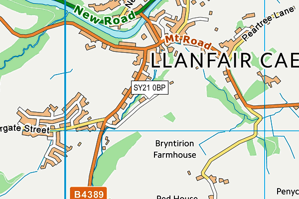 SY21 0BP map - OS VectorMap District (Ordnance Survey)