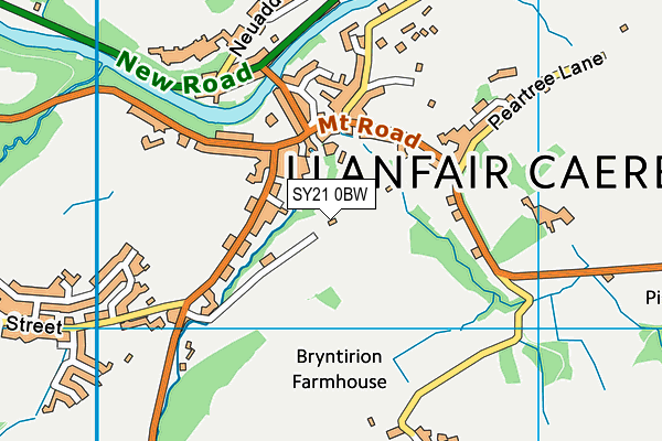 SY21 0BW map - OS VectorMap District (Ordnance Survey)