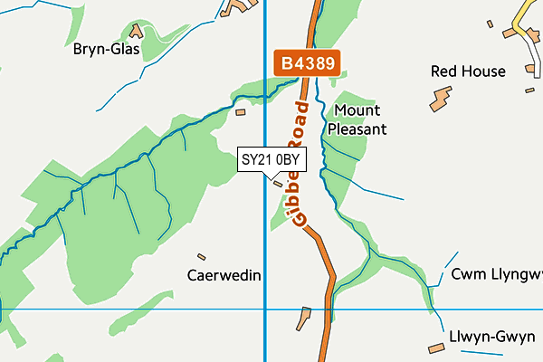 SY21 0BY map - OS VectorMap District (Ordnance Survey)