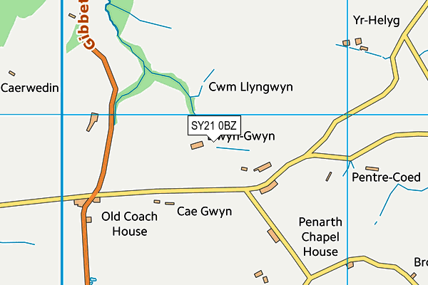 SY21 0BZ map - OS VectorMap District (Ordnance Survey)