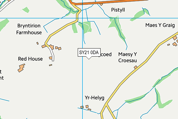 SY21 0DA map - OS VectorMap District (Ordnance Survey)