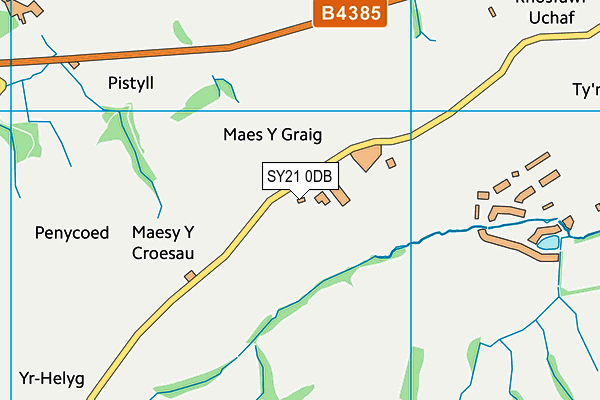 SY21 0DB map - OS VectorMap District (Ordnance Survey)