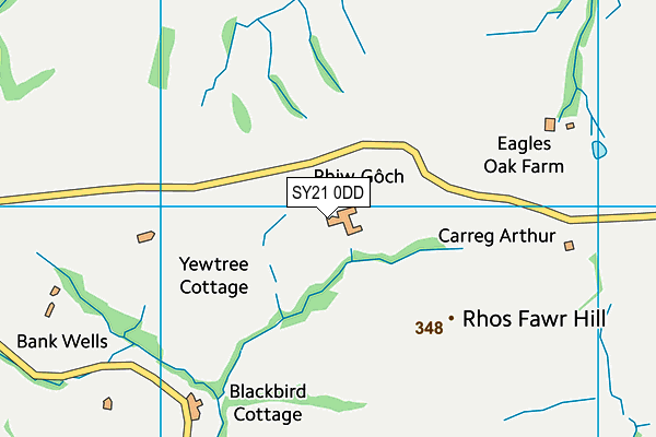 SY21 0DD map - OS VectorMap District (Ordnance Survey)