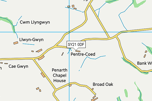 SY21 0DF map - OS VectorMap District (Ordnance Survey)