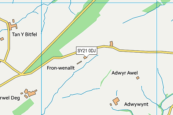 SY21 0DJ map - OS VectorMap District (Ordnance Survey)