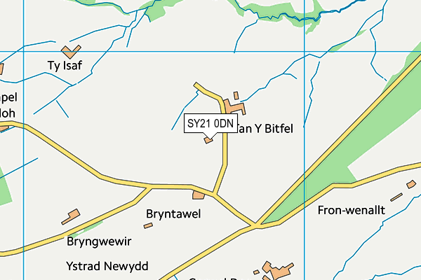 SY21 0DN map - OS VectorMap District (Ordnance Survey)