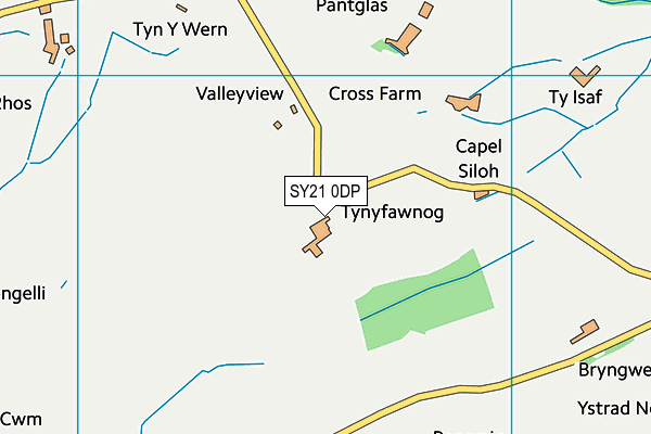 SY21 0DP map - OS VectorMap District (Ordnance Survey)