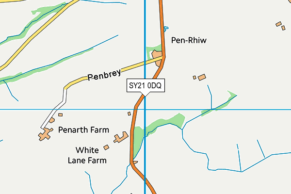 SY21 0DQ map - OS VectorMap District (Ordnance Survey)