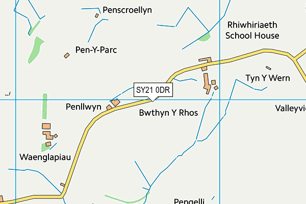 SY21 0DR map - OS VectorMap District (Ordnance Survey)