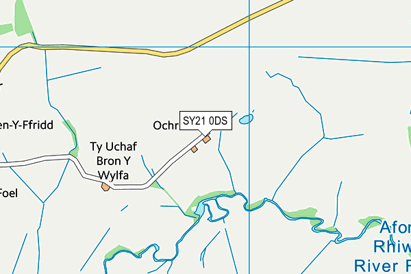 SY21 0DS map - OS VectorMap District (Ordnance Survey)