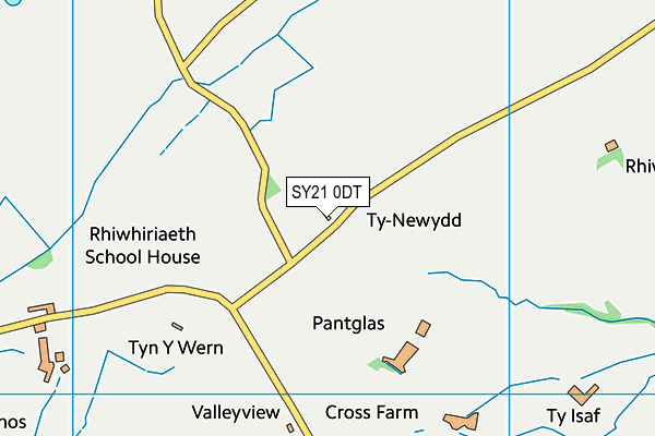 SY21 0DT map - OS VectorMap District (Ordnance Survey)