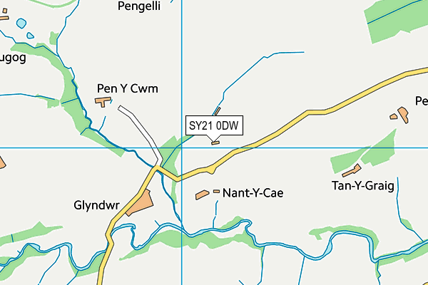 SY21 0DW map - OS VectorMap District (Ordnance Survey)