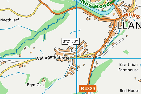 SY21 0DY map - OS VectorMap District (Ordnance Survey)