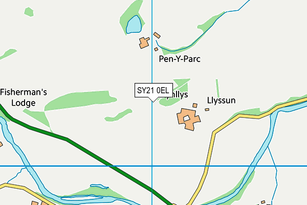 SY21 0EL map - OS VectorMap District (Ordnance Survey)