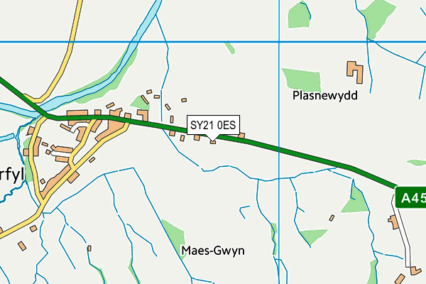 SY21 0ES map - OS VectorMap District (Ordnance Survey)