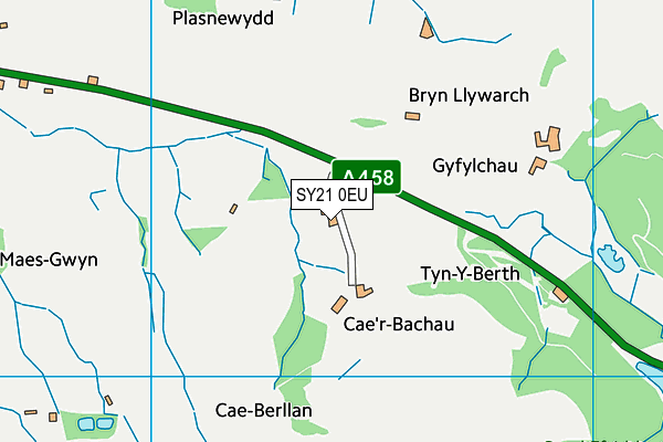 SY21 0EU map - OS VectorMap District (Ordnance Survey)