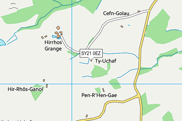 SY21 0EZ map - OS VectorMap District (Ordnance Survey)