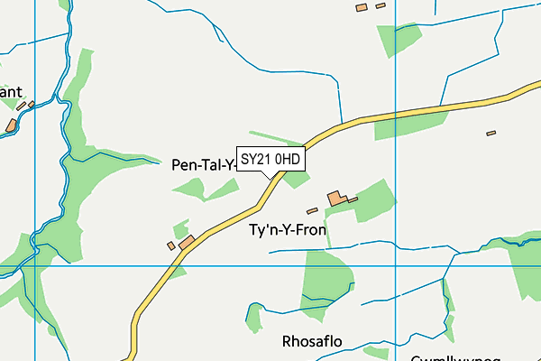 SY21 0HD map - OS VectorMap District (Ordnance Survey)