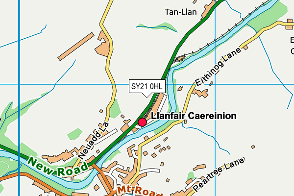 SY21 0HL map - OS VectorMap District (Ordnance Survey)