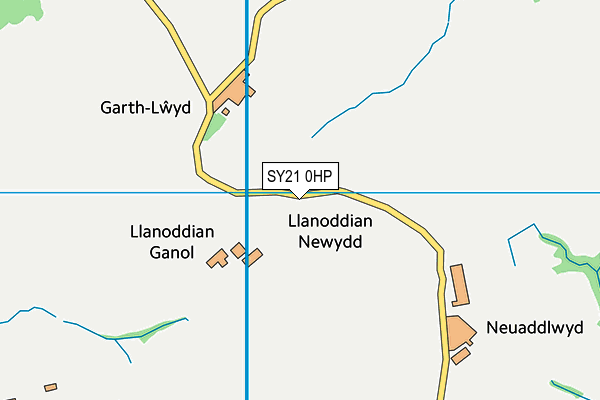 SY21 0HP map - OS VectorMap District (Ordnance Survey)