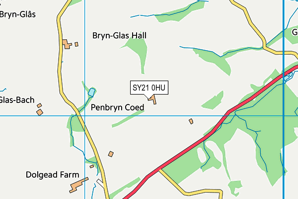 SY21 0HU map - OS VectorMap District (Ordnance Survey)