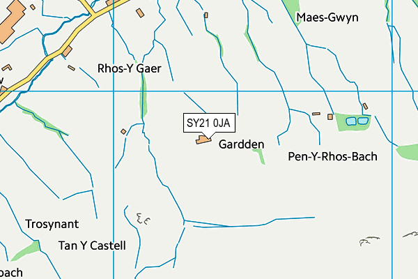 SY21 0JA map - OS VectorMap District (Ordnance Survey)