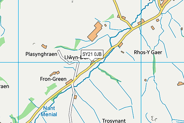 SY21 0JB map - OS VectorMap District (Ordnance Survey)