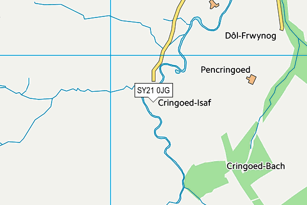 SY21 0JG map - OS VectorMap District (Ordnance Survey)