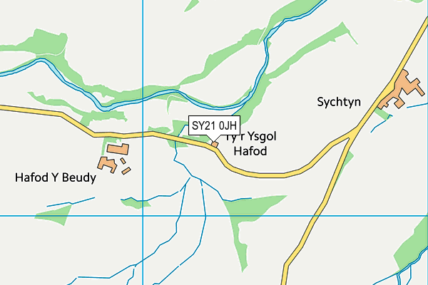 SY21 0JH map - OS VectorMap District (Ordnance Survey)