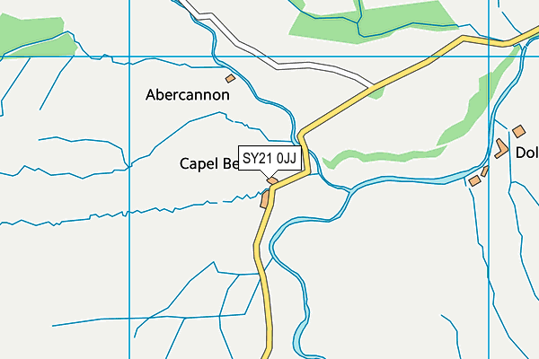 SY21 0JJ map - OS VectorMap District (Ordnance Survey)