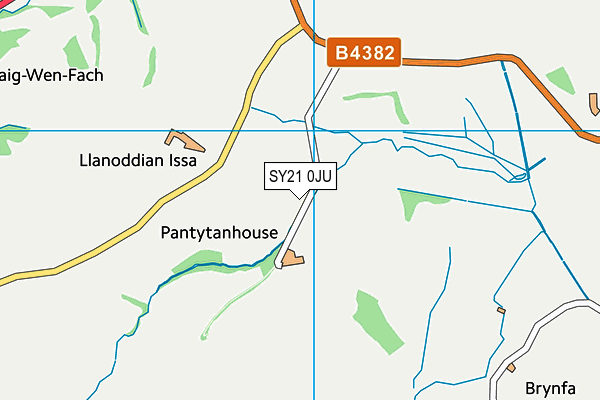 SY21 0JU map - OS VectorMap District (Ordnance Survey)