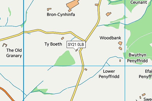 SY21 0LB map - OS VectorMap District (Ordnance Survey)