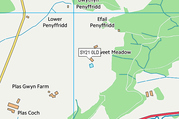 SY21 0LD map - OS VectorMap District (Ordnance Survey)