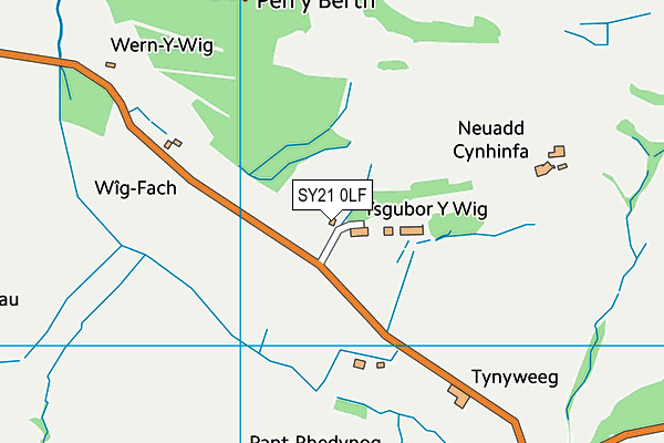 SY21 0LF map - OS VectorMap District (Ordnance Survey)