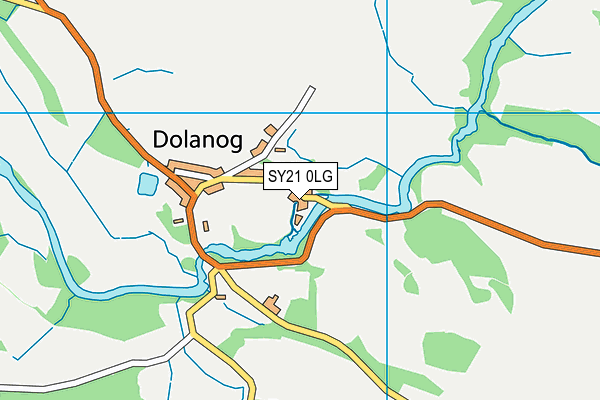 SY21 0LG map - OS VectorMap District (Ordnance Survey)