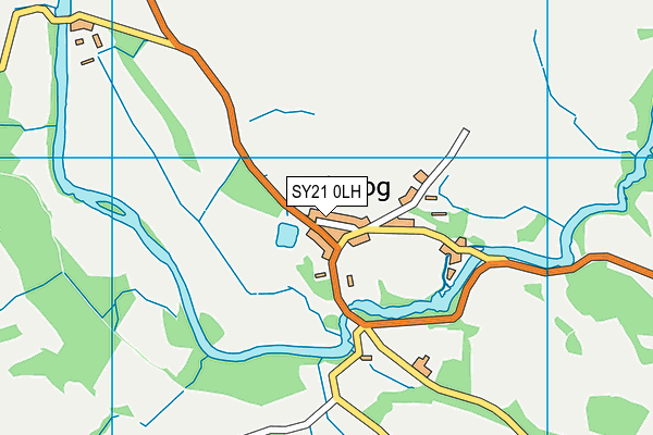 SY21 0LH map - OS VectorMap District (Ordnance Survey)