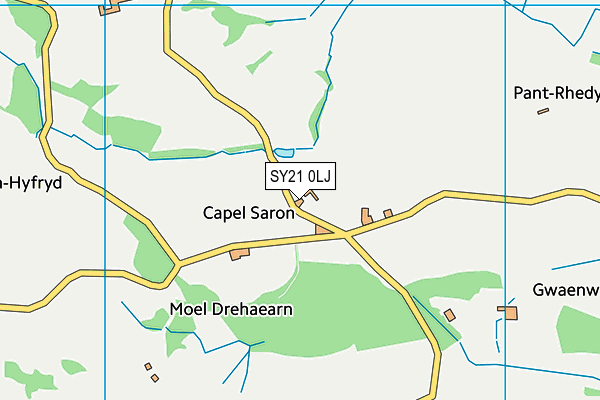 SY21 0LJ map - OS VectorMap District (Ordnance Survey)