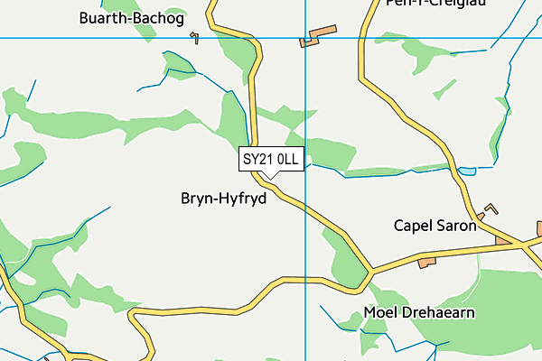 SY21 0LL map - OS VectorMap District (Ordnance Survey)