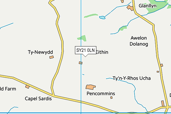 SY21 0LN map - OS VectorMap District (Ordnance Survey)