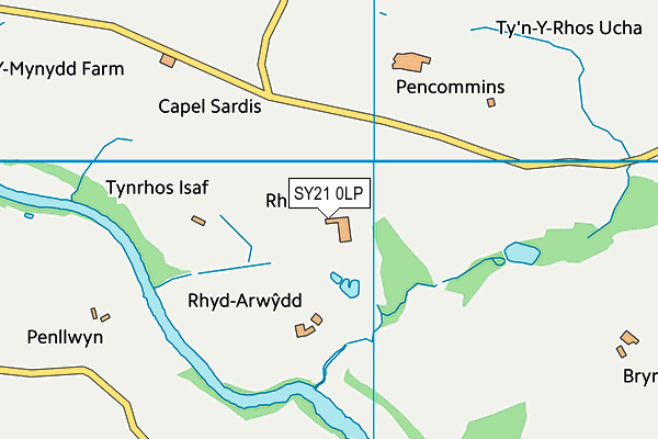 SY21 0LP map - OS VectorMap District (Ordnance Survey)