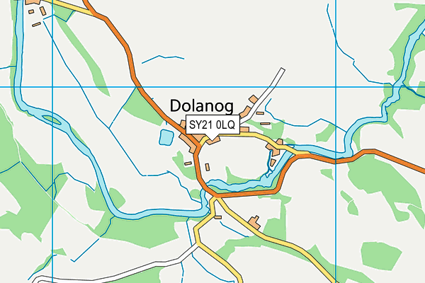 SY21 0LQ map - OS VectorMap District (Ordnance Survey)